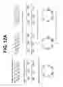 Fig. 29 - Nucleotide-Specific Recognition Sequences For Designer TAL Effectors