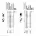 Fig. 40 - Nucleotide-Specific Recognition Sequences For Designer TAL Effectors