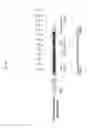 Fig. 58 - Nucleotide-Specific Recognition Sequences For Designer TAL Effectors