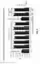 Fig. 06 - Quantitative PCR-based method to predict the efficiency of target enrichment for next-generation sequencing using repetitive DNA elements (lines/sines) as negative controls