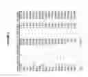 Fig. 04 - Complexity management of genomic DNA