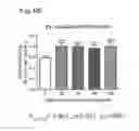 Fig. 08 - Maternal sialic acid supplementation