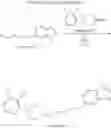 Fig. 366 - Functionally selective ligands of dopamine Dreceptors