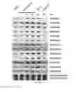 Fig. 05 - Histone demethylase inhibitors and methods for using the same