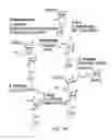 Fig. 02 - Methods for the synthesis and purification of oligomers