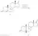 Fig. 167 - METHODS FOR THE PURIFICATION OF DEOXYCHOLIC ACID