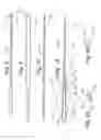 Fig. 05 - TISSUE TRANSFER CANNULA