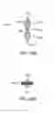Fig. 22 - Compressible tissue anchor assemblies
