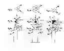 Fig. 04 - Process for producing a toothbrush having a bristle area design