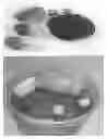 Fig. 01 - Manufacturing method of lightweight construction materials using sludge waste