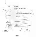 Fig. 04 - Composite absorbent particles