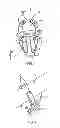 Fig. 02 - Wire fixing structure and liquid crystal display device using the same