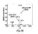 Fig. 07 - Sheath-flow electrospray interface