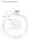 Fig. 08 - Direct to facility capture and release