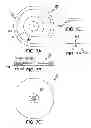 Fig. 08 - Integral Powered Wing Aircraft Utilizing Full Rotary Disc Stacking With Aeronautical Enhancements
