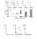 Fig. 02 - Gene detecting methods without using PCR