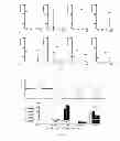 Fig. 03 - Gene detecting methods without using PCR