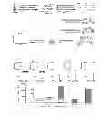 Fig. 04 - Gene detecting methods without using PCR