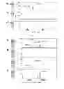 Fig. 05 - Gene detecting methods without using PCR