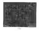 Fig. 09 - Ternary thermoelectric material containing nanoparticles and process for producing the same