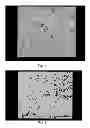 Fig. 02 - Semiconductive ceramic sintered compact