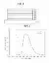 Fig. 02 - Host material and organic light emitting display device using the same