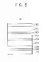 Fig. 04 - Polarization structure, method of manufacturing a polarization structure and organic light emitting display device having a polarization structure