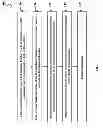 Fig. 02 - LIGHT EMITTING DIODE WITH IMPROVED LIGHT EXTRACTION EFFICIENCY AND METHODS OF MANUFACTURING SAME