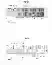 Fig. 09 - Wiring substrate including projecting part having electrode pad formed thereon