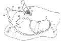 Fig. 01 - Slingshot seat