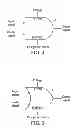 Fig. 03 - Isolation cell