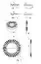 Fig. 05 - Stator assembly structure for axial flux electric machine