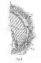 Fig. 05 - Stator including conductors provided with a composite sleeve