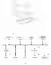 Fig. 02 - Feature intensity reconstruction of biological probe array