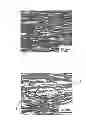 Fig. 01 - MAGNESIUM ALLOY SHEET MATERIAL