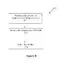 Fig. 09 - Gasification of carbonaceous materials and gas to liquid processes