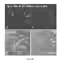 Fig. 34 - MULTIFUNCTIONAL DEGRADABLE NANOPARTICLES WITH CONTROL OVER SIZE AND FUNCTIONALITIES