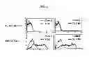 Fig. 02 - Antibody modulating the differentiation and function of dendritic cells via binding intercellular adhesion molecule-1 and use thereof