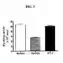 Fig. 04 - Antibody modulating the differentiation and function of dendritic cells via binding intercellular adhesion molecule-1 and use thereof