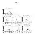 Fig. 05 - Antibody modulating the differentiation and function of dendritic cells via binding intercellular adhesion molecule-1 and use thereof