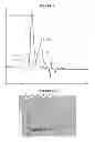 Fig. 07 - Conjugated Vi saccharides