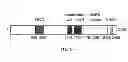 Fig. 15 - Mutant parasites for use as vaccines and platforms for screening for compounds