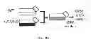 Fig. 24 - Mutant parasites for use as vaccines and platforms for screening for compounds