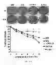 Fig. 27 - Mutant parasites for use as vaccines and platforms for screening for compounds