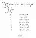Fig. 06 - MODIFIED SOPHOROLIPIDS COMBINATIONS AS ANTIMICROBIAL AGENTS