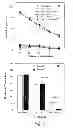 Fig. 08 - IN VIVO TARGETING OF DENDRITIC CELLS