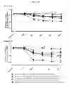 Fig. 02 - METHODS AND COMPOSITIONS FOR TREATMENT, MODIFICATION AND MANAGEMENT OF BONE CANCER PAIN