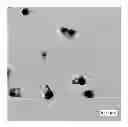 Fig. 01 - Immobilized metallic nanoparticles as unique materials for therapeutic and biosensor applications