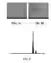 Fig. 02 - Immobilized metallic nanoparticles as unique materials for therapeutic and biosensor applications