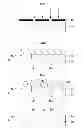 Fig. 01 - COMPOSITIONS AND METHODS TO FABRICATE A PHOTOACTIVE SUBSTRATE SUITABLE FOR SHAPED GLASS STRUCTURES